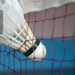 Loại cầu lông nào tốt nhất và được ưa dùng nhất trong năm 2024
