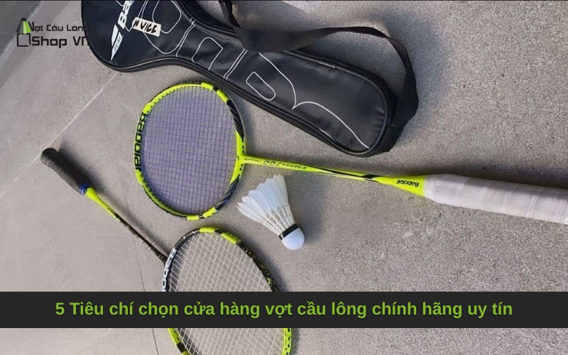 5 Tiêu chí chọn cửa hàng vợt cầu lông chính hãng uy tín