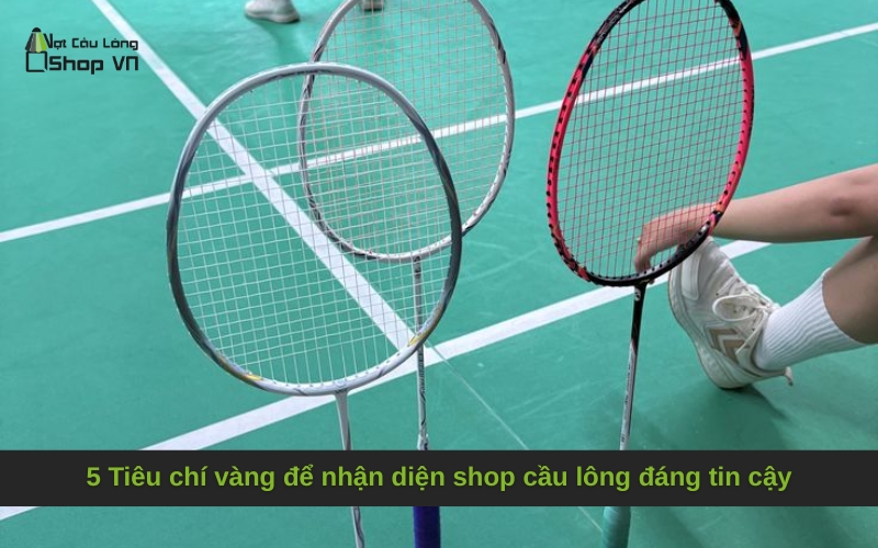 5 Tiêu chí vàng để nhận diện shop cầu lông đáng tin cậy