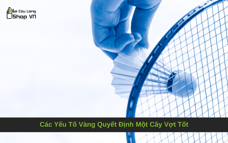 Các Yếu Tố Vàng Quyết Định Một Cây Vợt Tốt