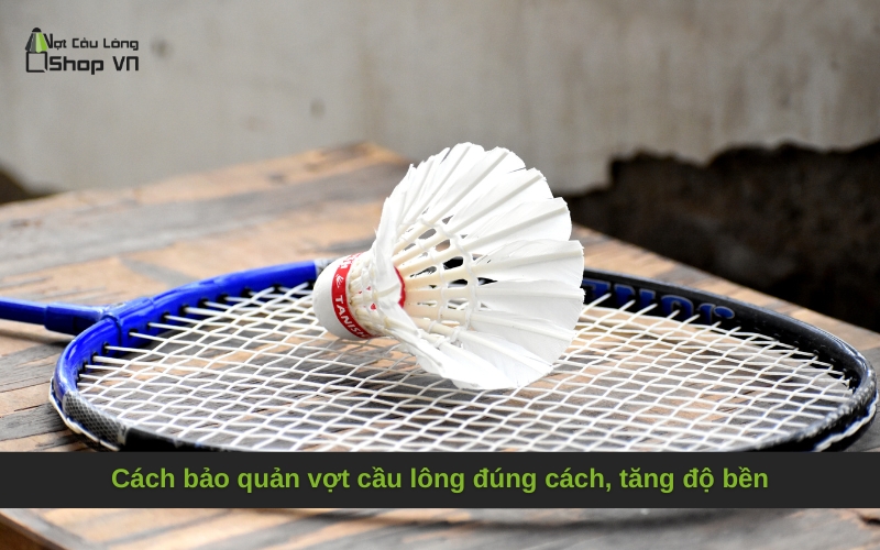 Cách bảo quản vợt cầu lông đúng cách, tăng độ bền