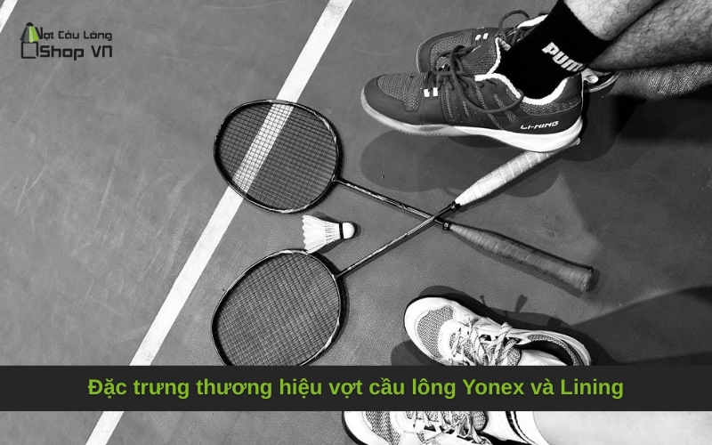 Đặc trưng thương hiệu vợt cầu lông Yonex và Lining