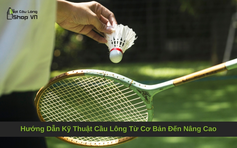 Hướng Dẫn Kỹ Thuật Cầu Lông Từ Cơ Bản Đến Nâng Cao