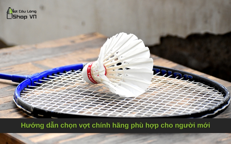Hướng dẫn chọn vợt chính hãng phù hợp cho người mới