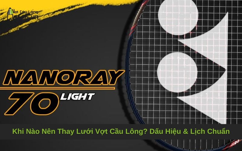 Khi Nào Nên Thay Lưới Vợt Cầu Lông? Dấu Hiệu & Lịch Chuẩn