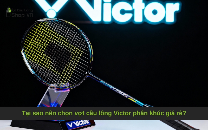Tại sao nên chọn vợt cầu lông Victor phân khúc giá rẻ?