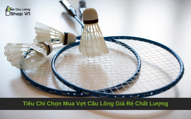 Tiêu Chí Chọn Mua Vợt Cầu Lông Giá Rẻ Chất Lượng