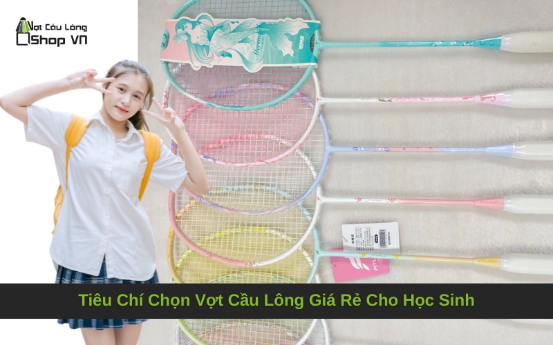 Tiêu Chí Chọn Vợt Cầu Lông Giá Rẻ Cho Học Sinh