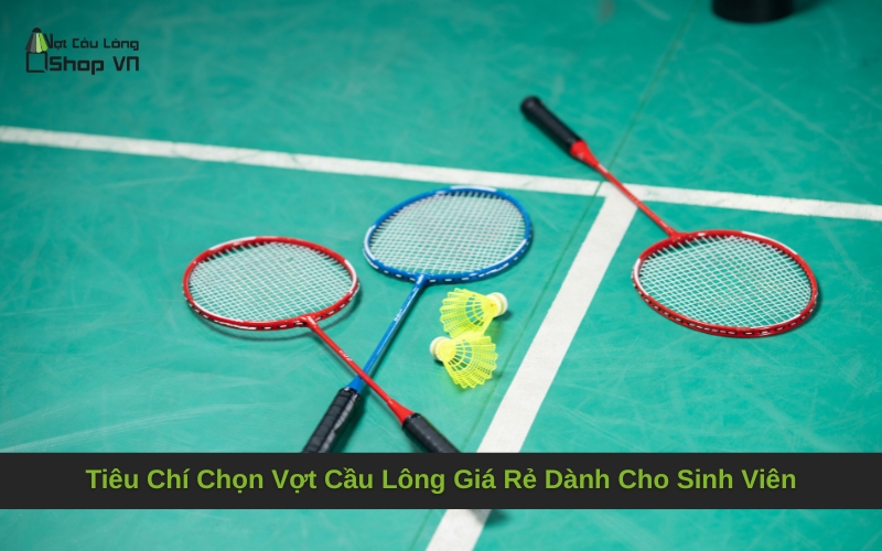 Tiêu Chí Chọn Vợt Cầu Lông Giá Rẻ Dành Cho Sinh Viên