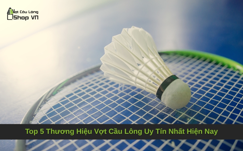 Top 5 Thương Hiệu Vợt Cầu Lông Uy Tín Nhất Hiện Nay
