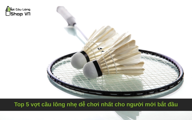 Top 5 vợt cầu lông nhẹ dễ chơi nhất cho người mới bắt đầu