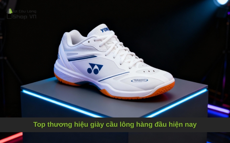 Top thương hiệu giày cầu lông hàng đầu hiện nay