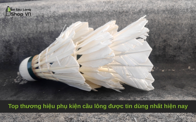 Top thương hiệu phụ kiện cầu lông được tin dùng nhất hiện nay