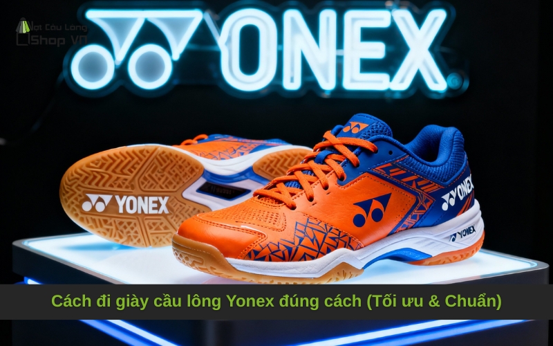 Cách đi giày cầu lông Yonex đúng cách (Tối ưu & Chuẩn)