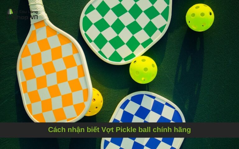 Cách nhận biết Vợt Pickle ball chính hãng