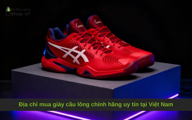 Địa chỉ mua giày cầu lông chính hãng uy tín tại Việt Nam