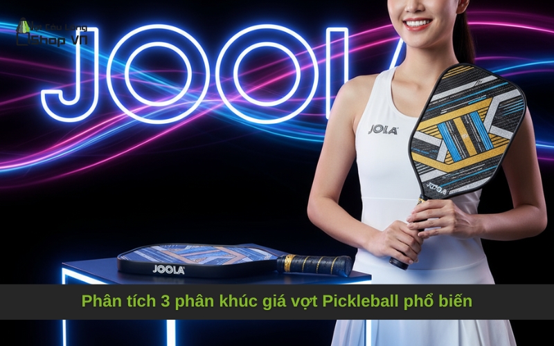Phân tích 3 phân khúc giá vợt Pickleball phổ biến