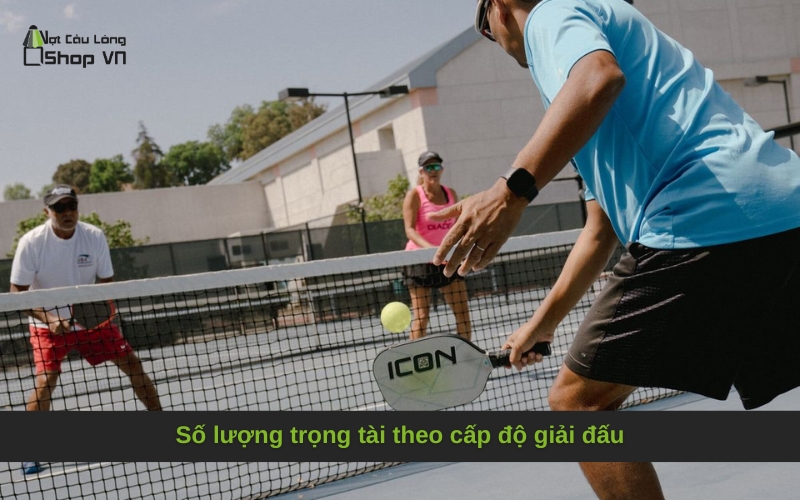 Số lượng trọng tài theo cấp độ giải đấu