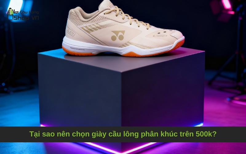 Tại sao nên chọn giày cầu lông phân khúc trên 500k?