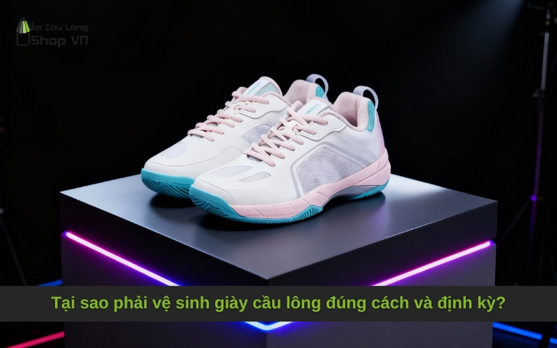 Tại sao phải vệ sinh giày cầu lông đúng cách và định kỳ?