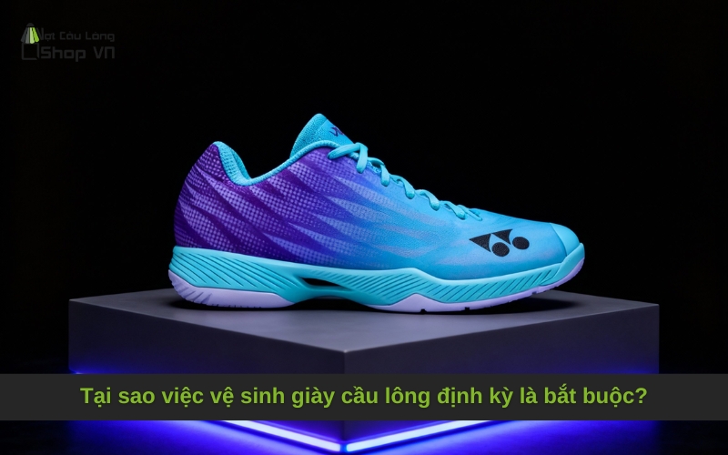 Tại sao việc vệ sinh giày cầu lông định kỳ là bắt buộc?