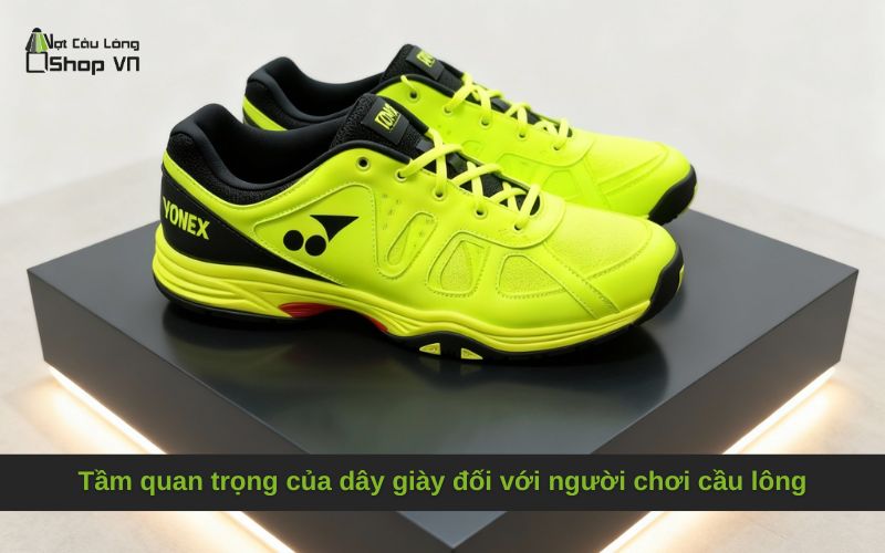 Tầm quan trọng của dây giày đối với người chơi cầu lông