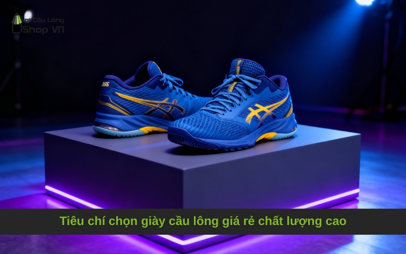 Tiêu chí chọn giày cầu lông giá rẻ chất lượng cao