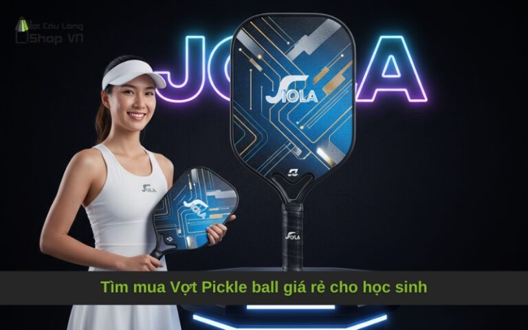 Tìm mua Vợt Pickle ball giá rẻ cho học sinh