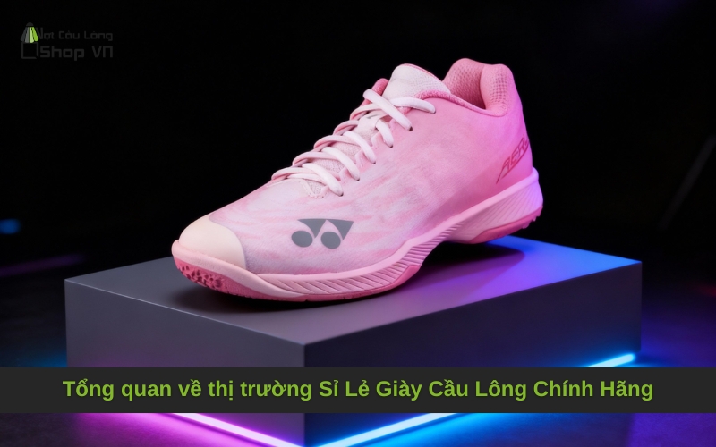 Tổng quan về thị trường Sỉ Lẻ Giày Cầu Lông Chính Hãng