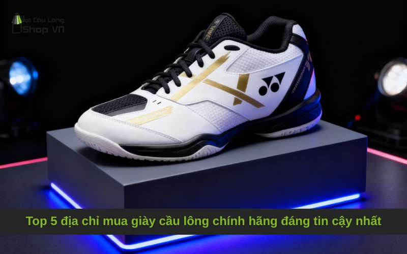 Top 5 địa chỉ mua giày cầu lông chính hãng đáng tin cậy nhất